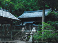 �����_��